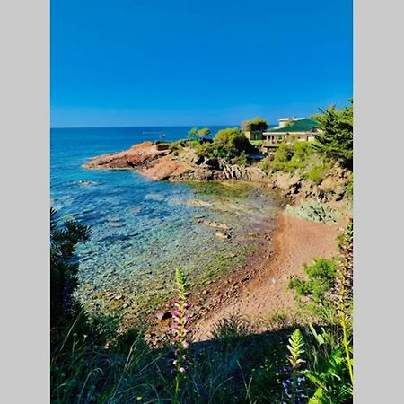 Appartamento Antheor - vue exceptionnelle - refait à neuf 4 couchages Saint-Raphaël Esterno foto