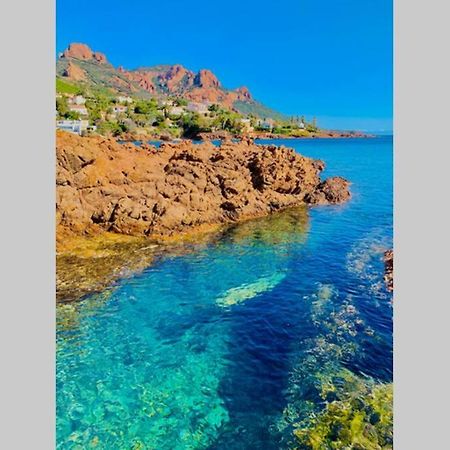 Appartamento Antheor - vue exceptionnelle - refait à neuf 4 couchages Saint-Raphaël Esterno foto