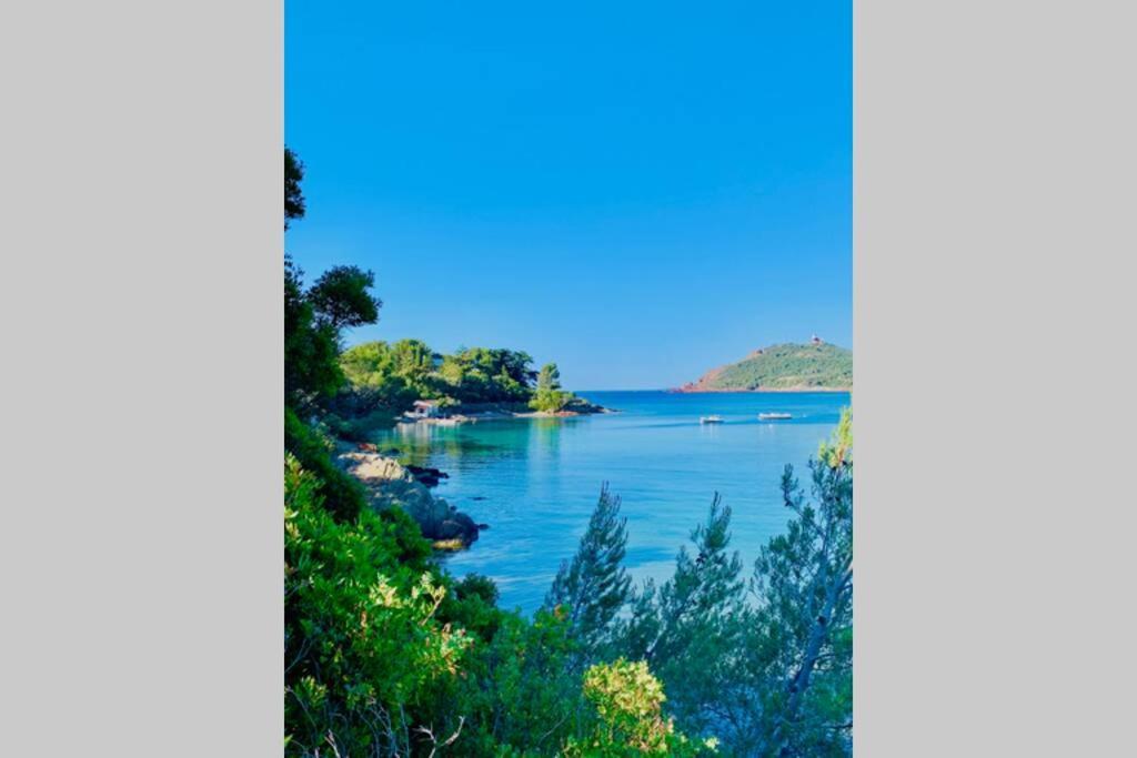 Appartamento Antheor - vue exceptionnelle - refait à neuf 4 couchages Saint-Raphaël Esterno foto