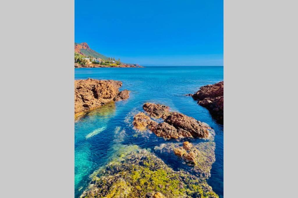 Appartamento Antheor - vue exceptionnelle - refait à neuf 4 couchages Saint-Raphaël Esterno foto