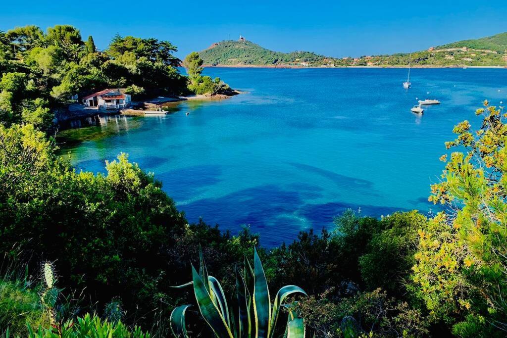 Appartamento Antheor - vue exceptionnelle - refait à neuf 4 couchages Saint-Raphaël Esterno foto