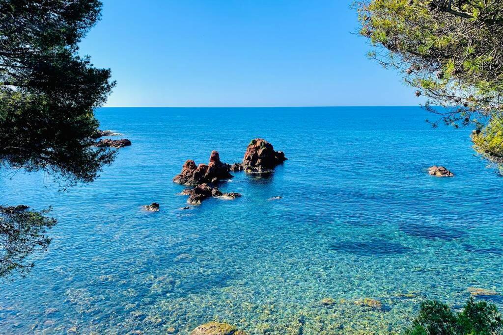 Appartamento Antheor - vue exceptionnelle - refait à neuf 4 couchages Saint-Raphaël Esterno foto
